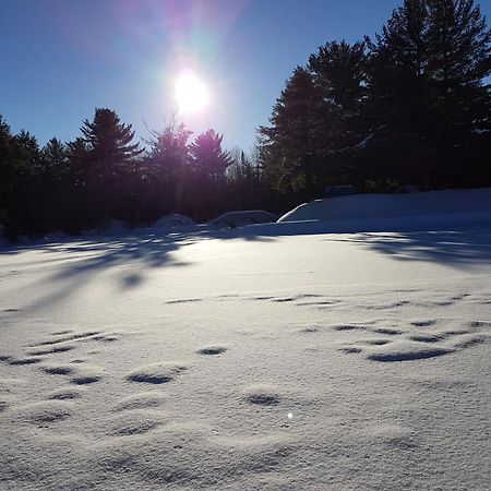 L'Ile Enchantee Trois-Rivières Exteriör bild