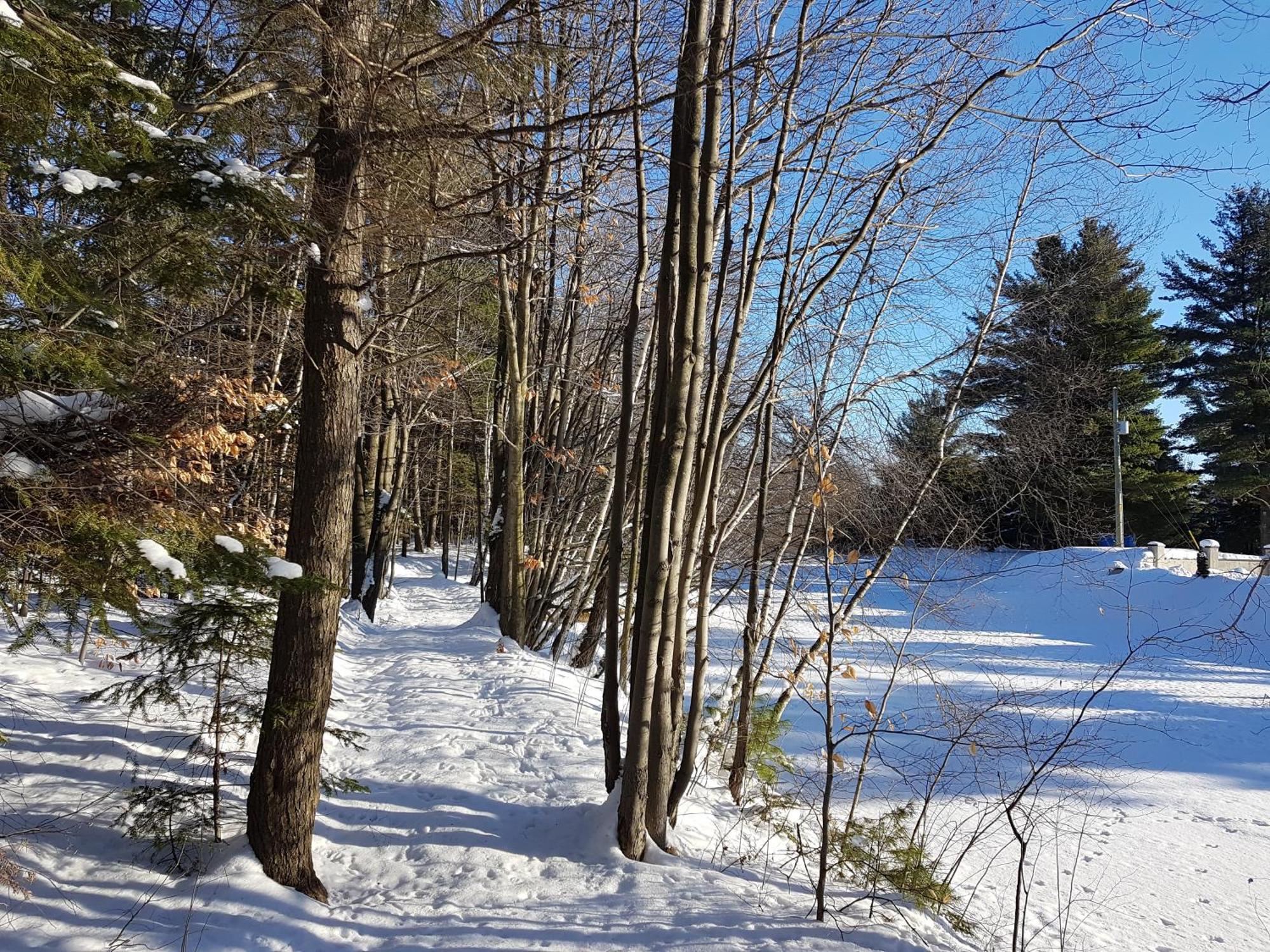 L'Ile Enchantee Trois-Rivières Exteriör bild