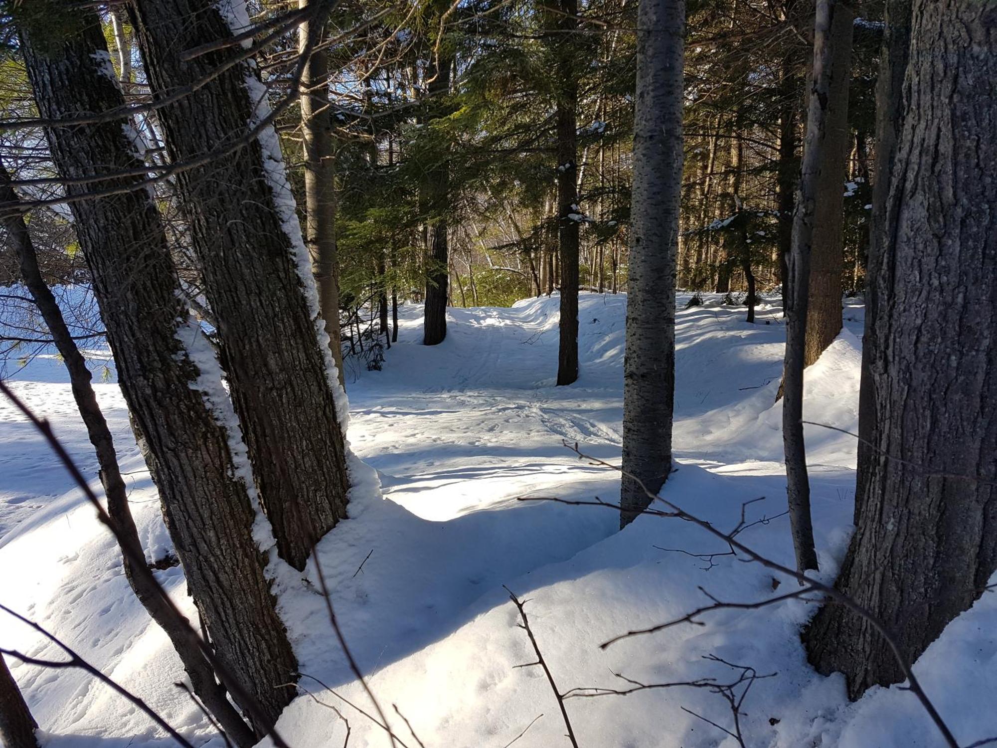 L'Ile Enchantee Trois-Rivières Exteriör bild